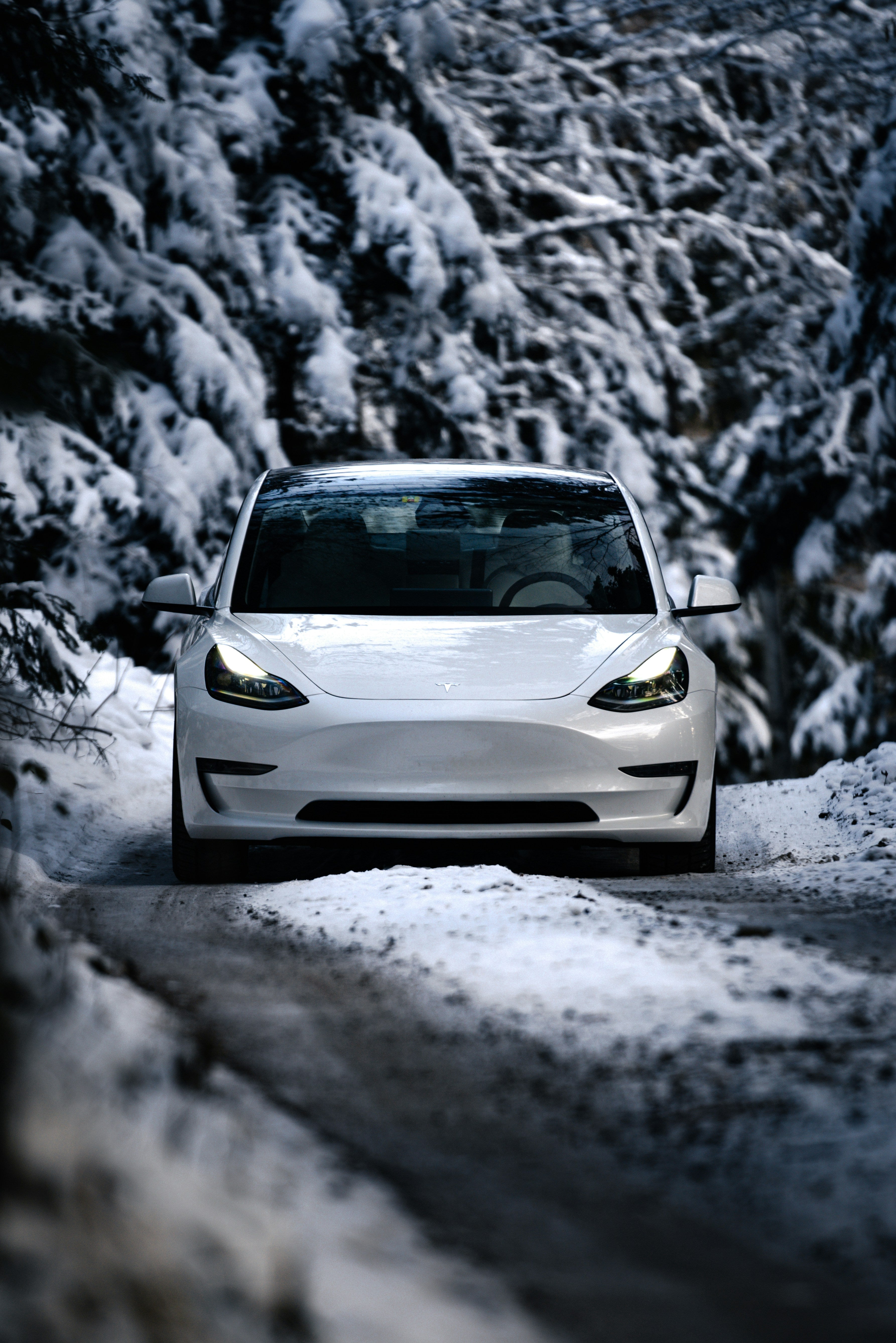 Model 3