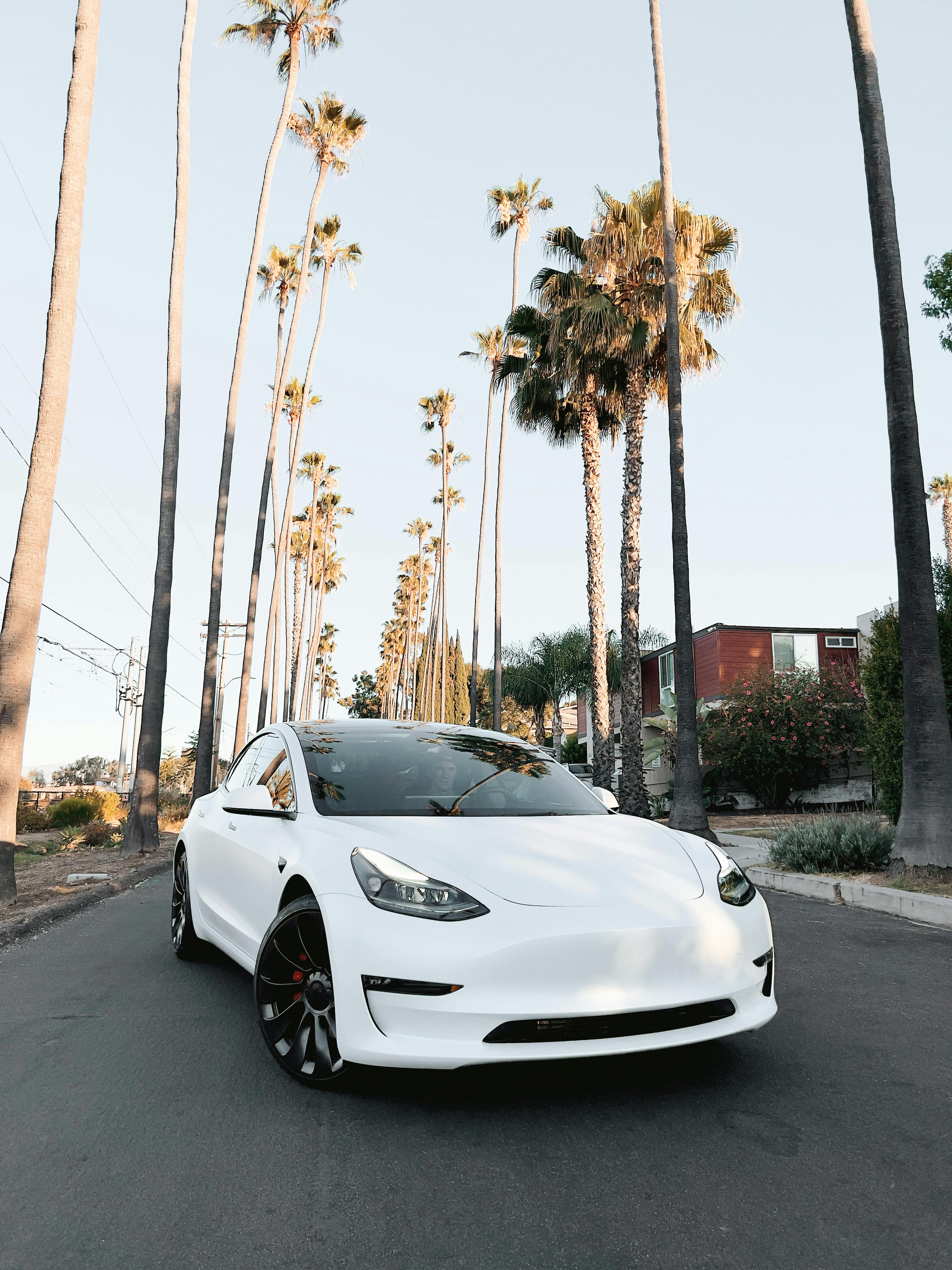 Model Y